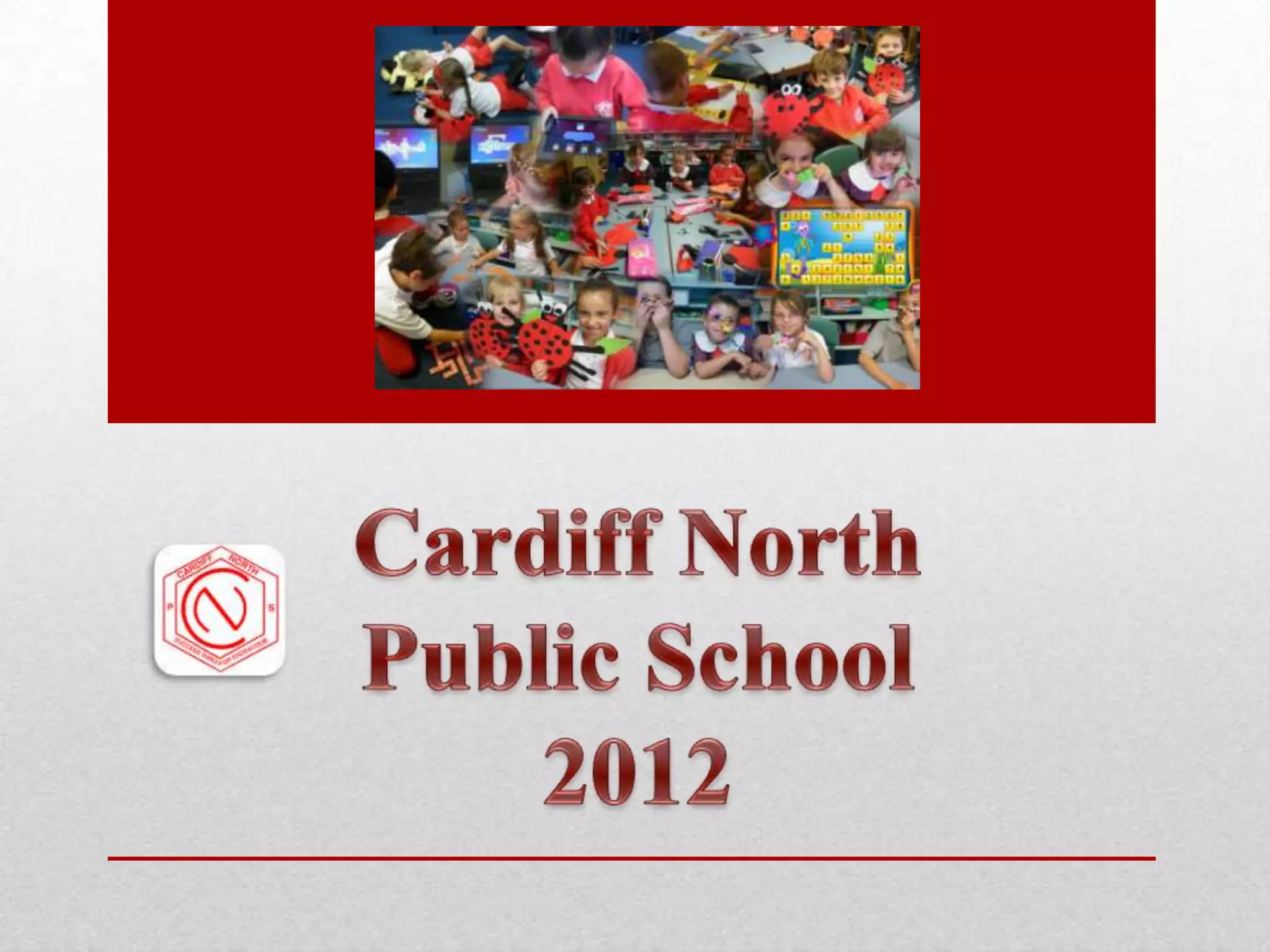 Cnps admin ppt