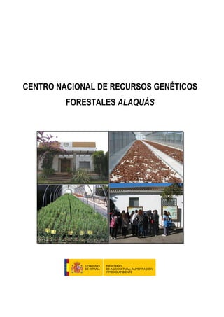 CENTRO NACIONAL DE RECURSOS GENÉTICOS
FORESTALES ALAQUÀS
 