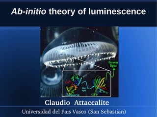 Ab-initio theory of luminescence
Claudio  Attaccalite 
 Universidad del Pais Vasco (San Sebastian)     
 