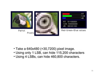 58
• Take a 640x480 (=30,7200) pixel image.
• Using only 1 LSB, can hide 115,200 characters
• Using 4 LSBs, can hide 460,8...