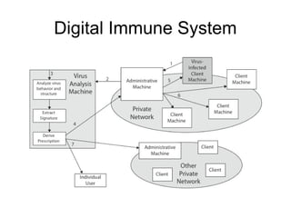 Digital Immune System
 