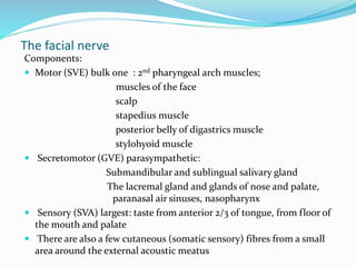 The facial nerve
Components:
 Motor (SVE) bulk one : 2nd pharyngeal arch muscles;
muscles of the face
scalp
stapedius muscle
posterior belly of digastrics muscle
stylohyoid muscle
 Secretomotor (GVE) parasympathetic:
Submandibular and sublingual salivary gland
The lacremal gland and glands of nose and palate,
paranasal air sinuses, nasopharynx
 Sensory (SVA) largest: taste from anterior 2/3 of tongue, from floor of
the mouth and palate
 There are also a few cutaneous (somatic sensory) fibres from a small
area around the external acoustic meatus
 