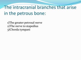 The intracranial branches that arise
in the petrous bone:
1)The greater petrosal nerve
2)The nerve to stapedius
3)Chorda tympani
 