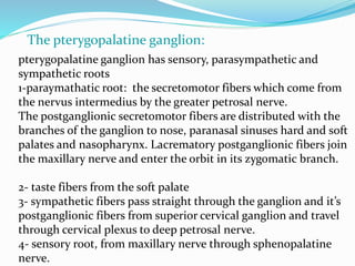 pterygopalatine ganglion has sensory, parasympathetic and
sympathetic roots
1-paraymathatic root: the secretomotor fibers which come from
the nervus intermedius by the greater petrosal nerve.
The postganglionic secretomotor fibers are distributed with the
branches of the ganglion to nose, paranasal sinuses hard and soft
palates and nasopharynx. Lacrematory postganglionic fibers join
the maxillary nerve and enter the orbit in its zygomatic branch.
2- taste fibers from the soft palate
3- sympathetic fibers pass straight through the ganglion and it’s
postganglionic fibers from superior cervical ganglion and travel
through cervical plexus to deep petrosal nerve.
4- sensory root, from maxillary nerve through sphenopalatine
nerve.
The pterygopalatine ganglion:
 