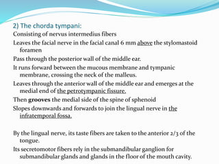 2) The chorda tympani:
Consisting of nervus intermedius fibers
Leaves the facial nerve in the facial canal 6 mm above the stylomastoid
foramen
Pass through the posterior wall of the middle ear.
It runs forward between the mucous membrane and tympanic
membrane, crossing the neck of the malleus.
Leaves through the anterior wall of the middle ear and emerges at the
medial end of the petrotympanic fissure.
Then grooves the medial side of the spine of sphenoid
Slopes downwards and forwards to join the lingual nerve in the
infratemporal fossa.
By the lingual nerve, its taste fibers are taken to the anterior 2/3 of the
tongue.
Its secretomotor fibers rely in the submandibular ganglion for
submandibular glands and glands in the floor of the mouth cavity.
 