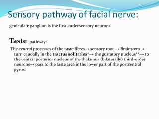 Sensory pathway of facial nerve:
geniculate ganglion is the first-order sensory neurons
Taste pathway:
The central processes of the taste fibres→ sensory root → Brainstem→
turn caudally in the tractus solitaries*→ the gustatory nucleus**→ to
the ventral posterior nucleus of the thalamus (bilaterally) third-order
neurons→ pass to the taste area in the lower part of the postcentral
gyrus.
 