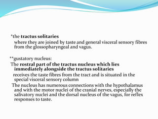 *the tractus solitaries
where they are joined by taste and general visceral sensory fibres
from the glossopharyngeal and vagus.
**gustatory nucleus:
The rostral part of the tractus nucleus which lies
immediately alongside the tractus solitaries
receives the taste fibres from the tract and is situated in the
special visceral sensory column
The nucleus has numerous connections with the hypothalamus
and with the motor nuclei of the cranial nerves, especially the
salivatory nuclei and the dorsal nucleus of the vagus, for reflex
responses to taste.
 