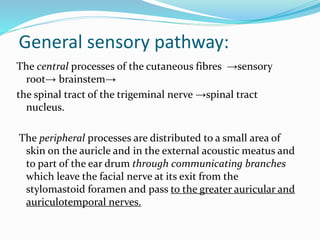 General sensory pathway:
The central processes of the cutaneous fibres →sensory
root→ brainstem→
the spinal tract of the trigeminal nerve →spinal tract
nucleus.
The peripheral processes are distributed to a small area of
skin on the auricle and in the external acoustic meatus and
to part of the ear drum through communicating branches
which leave the facial nerve at its exit from the
stylomastoid foramen and pass to the greater auricular and
auriculotemporal nerves.
 