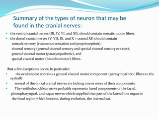 Summary of the types of neuron that may be
found in the cranial nerves:
 the ventral cranial nerves (III, IV, VI, and XII, should contain somatic motor fibres.
 the dorsal cranial nerves (V, VII, IX, and X + cranial XI) should contain
somatic sensory (cutaneous sensation and proprioception),
visceral sensory (general visceral sensory and special visceral sensory or taste),
general visceral motor (parasympathetic), and
special visceral motor (branchiomotor) fibres.
But a few exceptions occur; In particular:
 the oculomotor contains a general visceral motor component (parasympathetic fibres to the
eyeball)
 several of the dorsal cranial nerves are lacking one or more of their components.
 The vestibulocochlear nerve probably represents fused components of the facial,
glossopharyngeal, and vagus nerves which supplied that part of the lateral line organ in
the head region which became, during evolution, the internal ear.
 