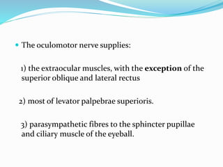  The oculomotor nerve supplies:
1) the extraocular muscles, with the exception of the
superior oblique and lateral rectus
2) most of levator palpebrae superioris.
3) parasympathetic fibres to the sphincter pupillae
and ciliary muscle of the eyeball.
 