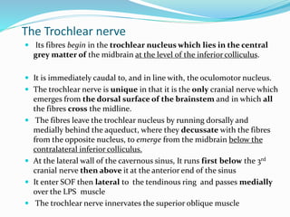 The Trochlear nerve
 Its fibres begin in the trochlear nucleus which lies in the central
grey matter of the midbrain at the level of the inferior colliculus.
 It is immediately caudal to, and in line with, the oculomotor nucleus.
 The trochlear nerve is unique in that it is the only cranial nerve which
emerges from the dorsal surface of the brainstem and in which all
the fibres cross the midline.
 The fibres leave the trochlear nucleus by running dorsally and
medially behind the aqueduct, where they decussate with the fibres
from the opposite nucleus, to emerge from the midbrain below the
contralateral inferior colliculus.
 At the lateral wall of the cavernous sinus, It runs first below the 3rd
cranial nerve then above it at the anterior end of the sinus
 It enter SOF then lateral to the tendinous ring and passes medially
over the LPS muscle
 The trochlear nerve innervates the superior oblique muscle
 