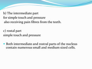 b) The intermediate part
for simple touch and pressure
also receiving pain fibres from the teeth.
c) rostal part
simple touch and pressure
 Both intermediate and rostral parts of the nucleus
contain numerous small and medium sized cells.
 