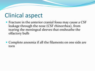 Clinical aspect
 Fracture in the anterior cranial fossa may cause a CSF
leakage through the nose (CSF rhinorrhea), from
tearing the meningeal sleeves that ensheathe the
olfactory bulb
 Complete anosmia if all the filaments on one side are
torn
 