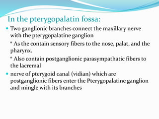 In the pterygopalatin fossa:
 Two ganglionic branches connect the maxillary nerve
with the pterygopalatine ganglion
* As the contain sensory fibers to the nose, palat, and the
pharynx.
* Also contain postganglionic parasympathatic fibers to
the lacremal
 nerve of pterygoid canal (vidian) which are
postganglionic fibers enter the Pterygopalatine ganglion
and mingle with its branches
 