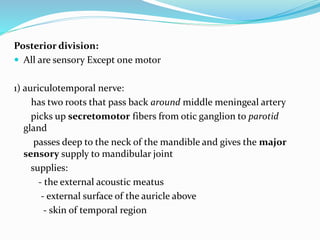Posterior division:
 All are sensory Except one motor
1) auriculotemporal nerve:
has two roots that pass back around middle meningeal artery
picks up secretomotor fibers from otic ganglion to parotid
gland
passes deep to the neck of the mandible and gives the major
sensory supply to mandibular joint
supplies:
- the external acoustic meatus
- external surface of the auricle above
- skin of temporal region
 
