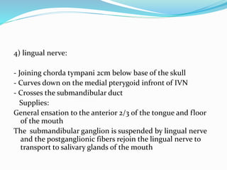 4) lingual nerve:
- Joining chorda tympani 2cm below base of the skull
- Curves down on the medial pterygoid infront of IVN
- Crosses the submandibular duct
Supplies:
General ensation to the anterior 2/3 of the tongue and floor
of the mouth
The submandibular ganglion is suspended by lingual nerve
and the postganglionic fibers rejoin the lingual nerve to
transport to salivary glands of the mouth
 