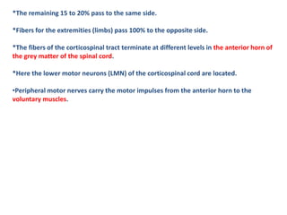 *The remaining 15 to 20% pass to the same side.
*Fibers for the extremities (limbs) pass 100% to the opposite side.
*The fibers of the corticospinal tract terminate at different levels in the anterior horn of
the grey matter of the spinal cord.
*Here the lower motor neurons (LMN) of the corticospinal cord are located.
•Peripheral motor nerves carry the motor impulses from the anterior horn to the
voluntary muscles.
 