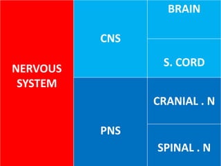 Cns | PPT
