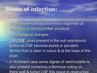 • Blood stream introduction micro organism atBlood stream introduction micro organism at
operation or during lumber punctureoperation or during lumber puncture
• morphological changes:morphological changes:
• GROSSGROSS puss present in the sub arachonoidpuss present in the sub arachonoid
space so CSF become stubid or porulant.space so CSF become stubid or porulant.
sturbid fluid is seen in sulcui & at the base of thesturbid fluid is seen in sulcui & at the base of the
brain.brain.
• In fluminant case some digree of ventriculaitis isIn fluminant case some digree of ventriculaitis is
also present contaning a fibrinous coting onalso present contaning a fibrinous coting on
 