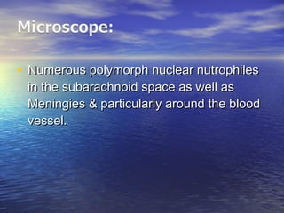 • Numerous polymorph nuclear nutrophilesNumerous polymorph nuclear nutrophiles
in the subarachnoid space as well asin the subarachnoid space as well as
Meningies & particularly around the bloodMeningies & particularly around the blood
vessel.vessel.
 