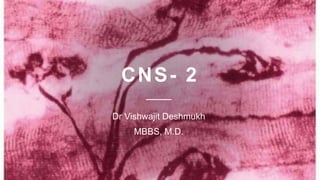 CNS- 2
Dr Vishwajit Deshmukh
MBBS, M.D.
 