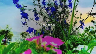 T H A N K S
 