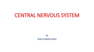 CENTRAL NERVOUS SYSTEM
BY
SONI KUMARI SHAH
 