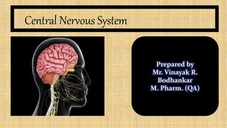 Central Nervous System
 
