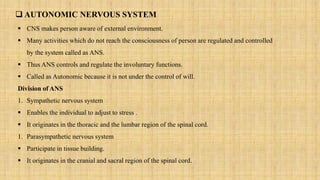  AUTONOMIC NERVOUS SYSTEM
 CNS makes person aware of external environment.
 Many activities which do not reach the consciousness of person are regulated and controlled
by the system called as ANS.
 Thus ANS controls and regulate the involuntary functions.
 Called as Autonomic because it is not under the control of will.
Division of ANS
1. Sympathetic nervous system
 Enables the individual to adjust to stress .
 It originates in the thoracic and the lumbar region of the spinal cord.
1. Parasympathetic nervous system
 Participate in tissue building.
 It originates in the cranial and sacral region of the spinal cord.
 