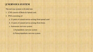  NERVOUS SYSTEM
The nervous system is divided into
1. CNS consist of Brain & Spinal cord.
2. PNS consisting of:
a. 31 pairs of cranial nerves arising from spinal cord
b. 12 pairs of cranial nerves arising from brain.
c. Autonomic nervous system:
i) Sympathetic nervous system
ii) Parasympathetic nervous system
 