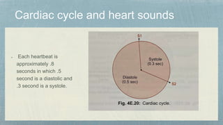 Each heartbeat is
approximately .8
seconds in which .5
second is a diastolic and
.3 second is a systole.
 