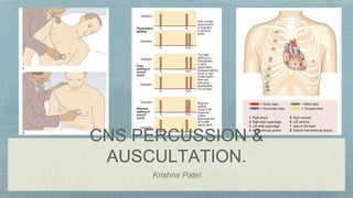 CNS PERCUSSION &
AUSCULTATION.
Krishna Patel
 