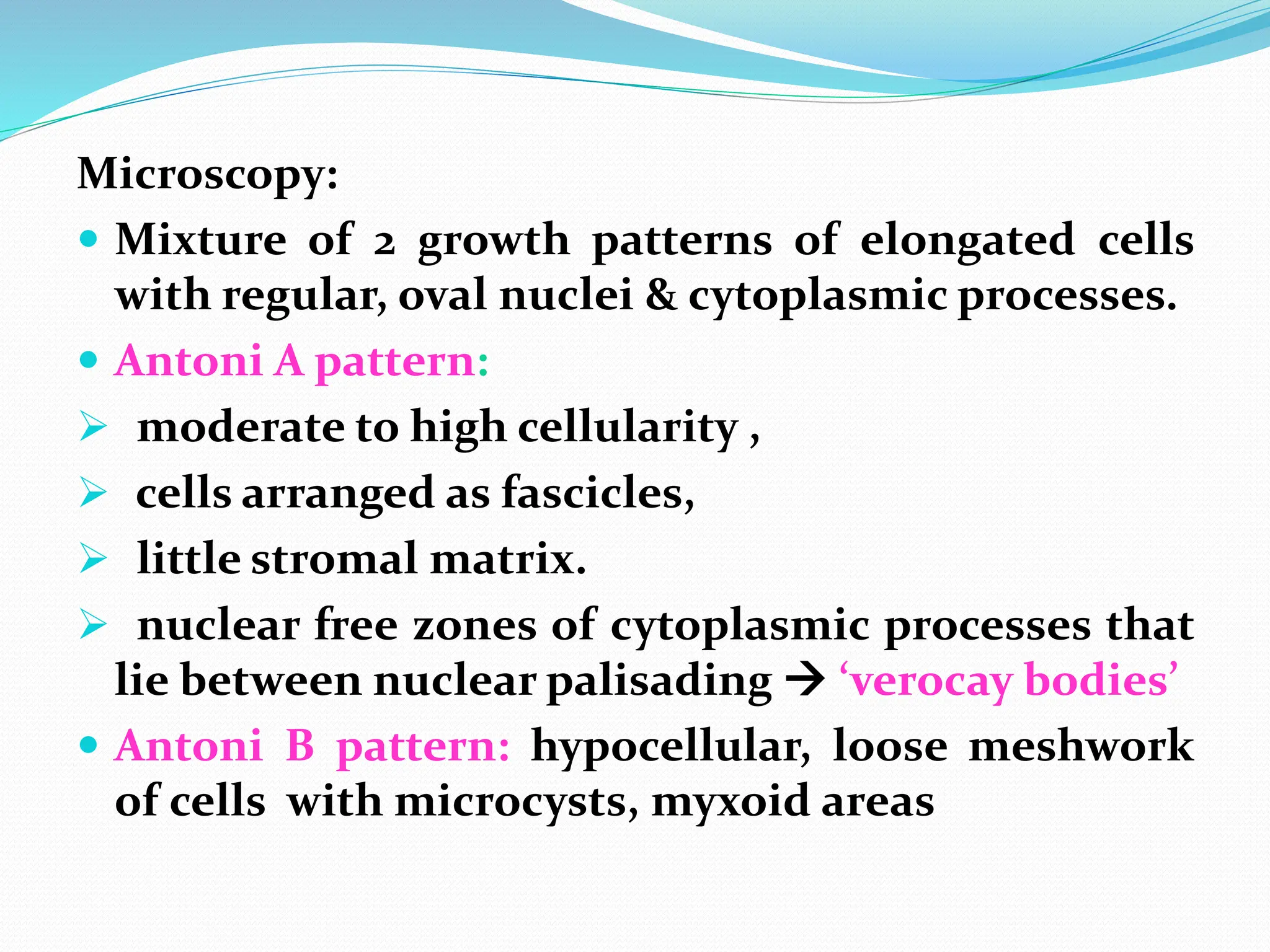 Microscopy:
 Mixture of 2 growth patterns of elongated cells
with regular, oval nuclei & cytoplasmic processes.
 Antoni A pattern:
 moderate to high cellularity ,
 cells arranged as fascicles,
 little stromal matrix.
 nuclear free zones of cytoplasmic processes that
lie between nuclear palisading  ‘verocay bodies’
 Antoni B pattern: hypocellular, loose meshwork
of cells with microcysts, myxoid areas
 