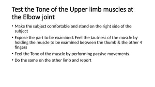Testing Subject Muscles Comprehensive Guide to Neurological Reflex and Motor Function Testing ...
