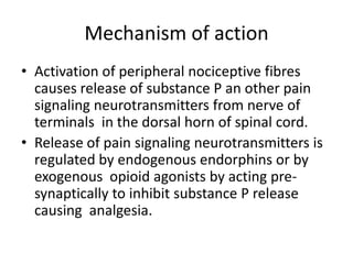 Mechanism of action
• Activation of peripheral nociceptive fibres
causes release of substance P an other pain
signaling neurotransmitters from nerve of
terminals in the dorsal horn of spinal cord.
• Release of pain signaling neurotransmitters is
regulated by endogenous endorphins or by
exogenous opioid agonists by acting pre-
synaptically to inhibit substance P release
causing analgesia.
 