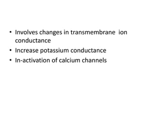 • Involves changes in transmembrane ion
conductance
• Increase potassium conductance
• In-activation of calcium channels
 