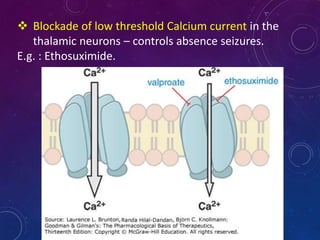  Blockade of low threshold Calcium current in the
thalamic neurons – controls absence seizures.
E.g. : Ethosuximide.
 