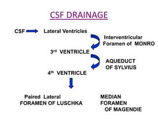 CSF DRAINAGE
CSF    Lateral Ventricles
                            Interventricular
                            Foramen of MONRO
         3rd VENTRICLE
                             AQUEDUCT
                             OF SYLVIUS
        4th VENTRICLE



  Paired Lateral            MEDIAN
 FORAMEN OF LUSCHKA         FORAMEN
                             OF MAGENDIE
 