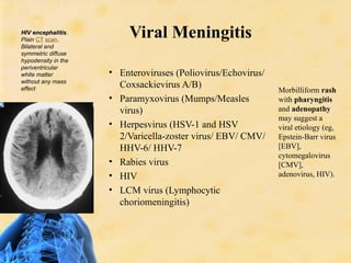 Morbiliform Rash Cmv Infections of the Central neuron system .ppt