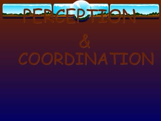 PERCEPTION  & COORDINATION 