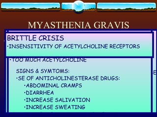MYASTHENIA GRAVIS COMPLICATIONS: MYASTHENIC CRISIS CHOLINERGIC CRISIS BRITTLE CRISIS MYASTHENIA CRISIS SUDDEN INABILITY TO SPEAK OR MAINTAIN PATENT AIRWAY WEAKNESS OF THE MUSCLES OF:  RESPIRATION  LARYNX PHARYNX  BULBAR RESPIRATORY DEPRESSION  & AIRWAY OBSTRUCTION CEREBRAL HYPOXIA CNS INJURY & DEATH CAUSES: TEMPORARY RESISTANCE TO ANTICHOLINESTERASE NEED FOR INCREASE IN DOSAGE ACTH THERAPY SIGNS & SYMPTOMS: INITIAL: DYSPHAGIA DIFFICULTY IN SPEAKING EYELID PTOSIS RESPIRATORY ARREST CHOLINERGIC CRISIS OVERMEDICATION WITH ANTICHOLINESTERASE  TOO MUCH ACETYLCHOLINE SIGNS & SYMTOMS: SE OF ANTICHOLINESTERASE DRUGS: ABDOMINAL CRAMPS DIARRHEA INCREASE SALIVATION INCREASE SWEATING INCREASE BRONCHIAL SECRETION BRITTLE CRISIS INSENSITIVITY OF ACETYLCHOLINE RECEPTORS 