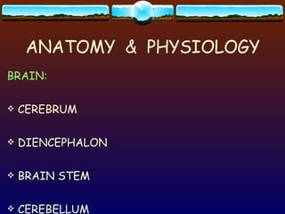 ANATOMY  &  PHYSIOLOGY BRAIN: CEREBRUM DIENCEPHALON BRAIN STEM CEREBELLUM 