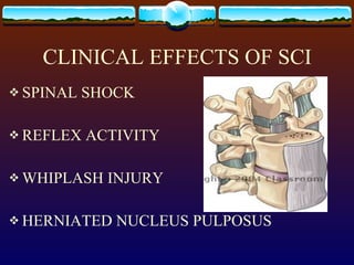 CLINICAL EFFECTS OF SCI SPINAL SHOCK REFLEX ACTIVITY WHIPLASH INJURY HERNIATED NUCLEUS PULPOSUS 