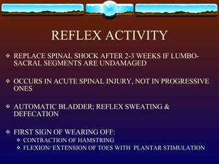REFLEX ACTIVITY REPLACE SPINAL SHOCK AFTER 2-3 WEEKS IF LUMBO-SACRAL SEGMENTS ARE UNDAMAGED OCCURS IN ACUTE SPINAL INJURY, NOT IN PROGRESSIVE ONES AUTOMATIC BLADDER; REFLEX SWEATING & DEFECATION FIRST SIGN OF WEARING OFF: CONTRACTION OF HAMSTRING FLEXION/ EXTENSION OF TOES WITH  PLANTAR STIMULATION 
