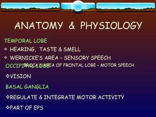 ANATOMY  &  PHYSIOLOGY TEMPORAL LOBE HEARING,  TASTE & SMELL WERNICKE’S AREA – SENSORY SPEECH BROCA’S AREA OF FRONTAL LOBE – MOTOR SPEECH OCCIPITAL LOBE VISION BASAL GANGLIA REGULATE & INTEGRATE MOTOR ACTIVITY PART OF EPS 