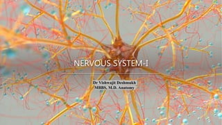 NERVOUS SYSTEM-I
Dr Vishwajit Deshmukh
MBBS, M.D. Anatomy
 