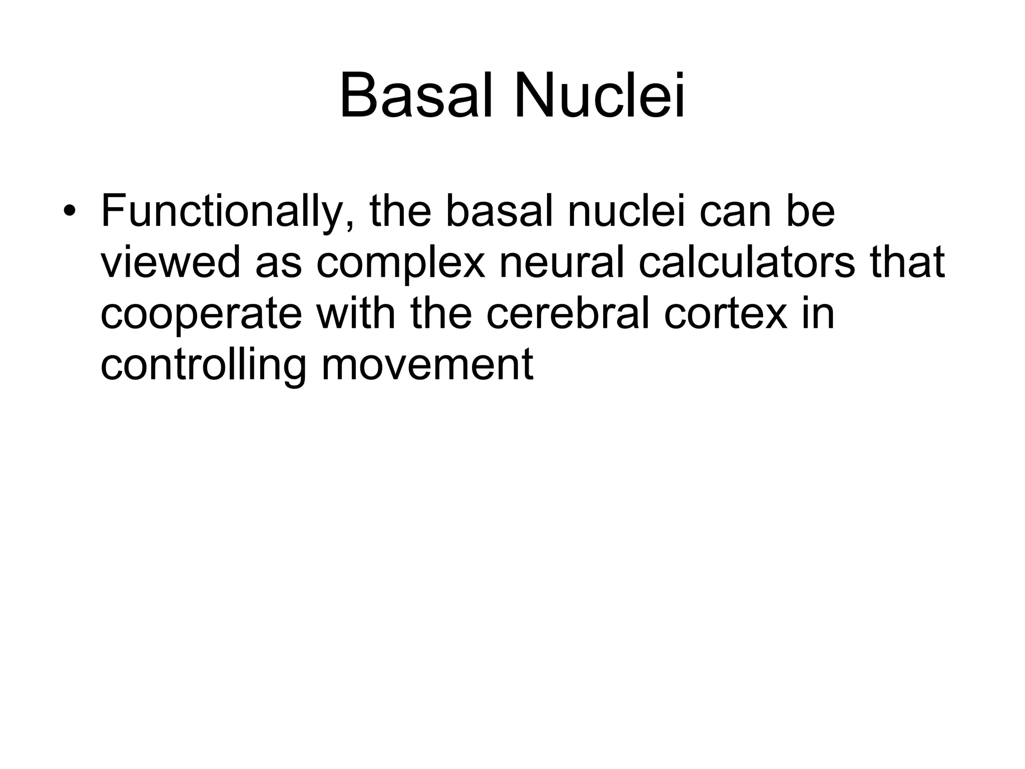 Basal Nuclei Functionally, the basal nuclei can be viewed as complex neural calculators that cooperate with the cerebral cortex in controlling movement 