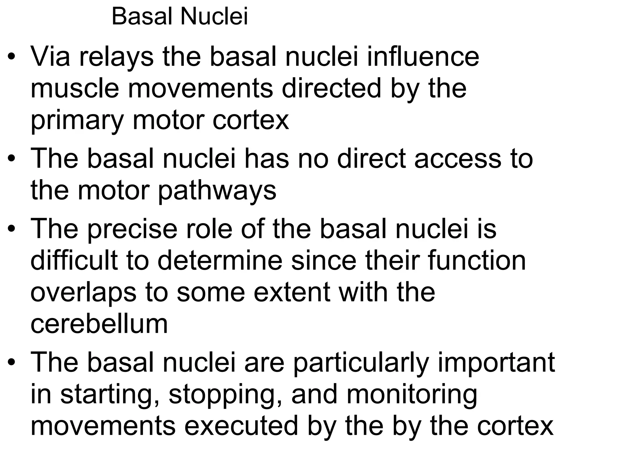 Basal Nuclei Via relays the basal nuclei influence muscle movements directed by the primary motor cortex The basal nuclei has no direct access to the motor pathways The precise role of the basal nuclei is difficult to determine since their function overlaps to some extent with the cerebellum The basal nuclei are particularly important in starting, stopping, and monitoring movements executed by the by the cortex 