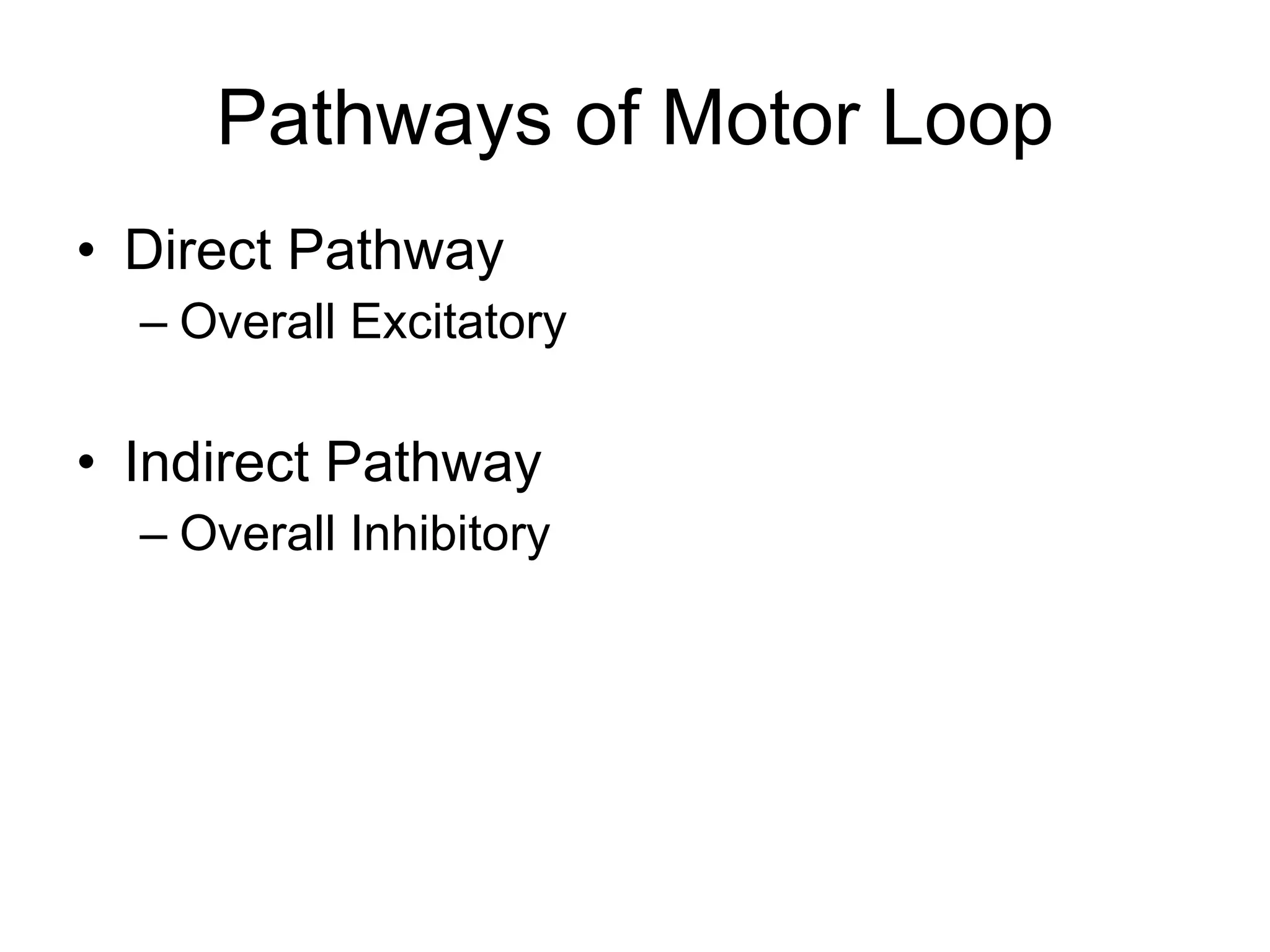 Pathways of Motor Loop Direct Pathway Overall Excitatory Indirect Pathway Overall Inhibitory 