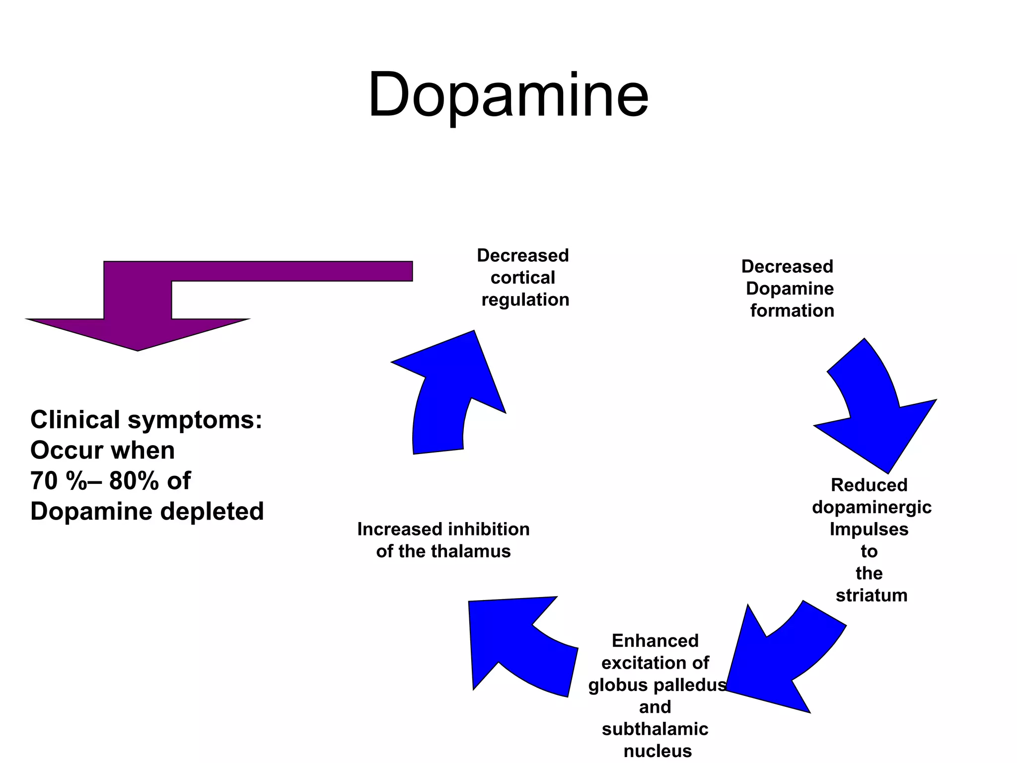 Dopamine Clinical symptoms: Occur when  70 %– 80% of Dopamine depleted Decreased  Dopamine formation Reduced  dopaminergic Impulses  to  the  striatum Enhanced  excitation of  globus palledus and  subthalamic  nucleus Increased inhibition of the thalamus Decreased  cortical  regulation 